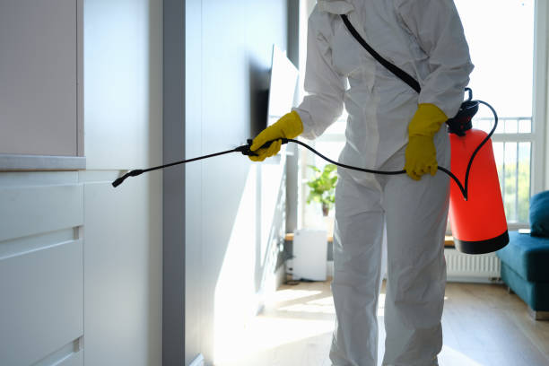 Best Office Mold Removal Services  in Franklin, WI
