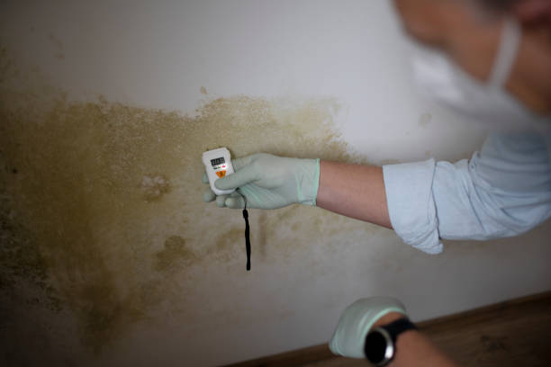 Franklin, WI Mold Removal Company