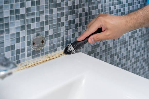 Best Residential Mold Removal  in Franklin, WI