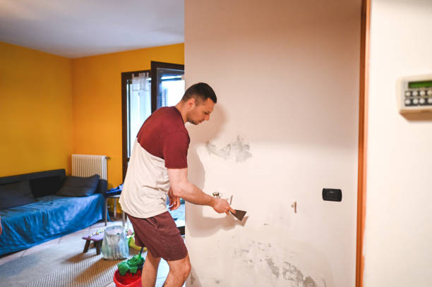 Best Mold Inspection  in Franklin, WI