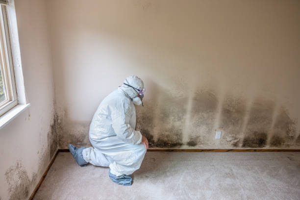Best Mold Testing  in Franklin, WI